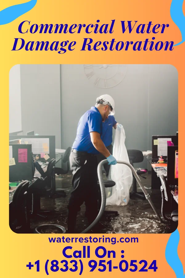 Commercial Water Damage Restoration in Hardy, MT