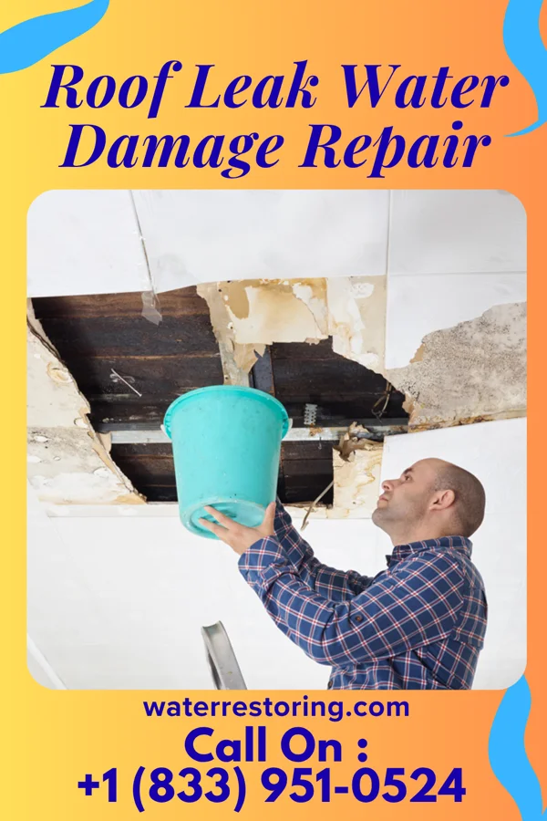 Roof Leak Water Damage Repair in Hardy, MT